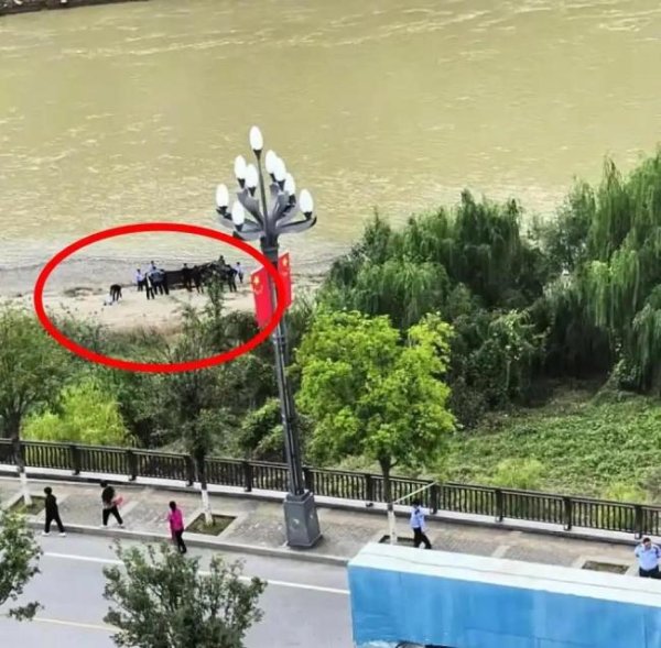 旺源配资 新郎婚礼当天跳河 母亲首度发声 事件内幕曝光